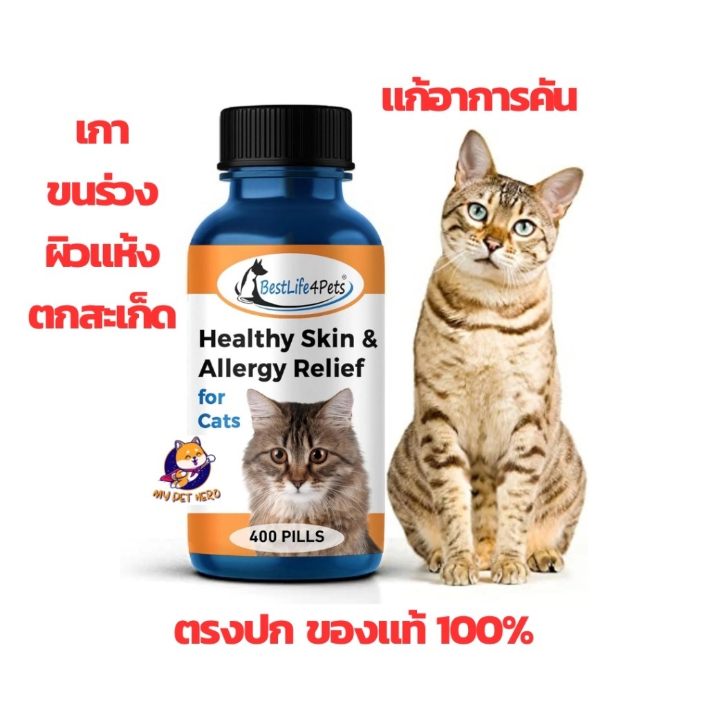 (ยกขวด 400เม็ด) Healthy Skin and Allergy Relief For Cats อาหารเสริมดูแล