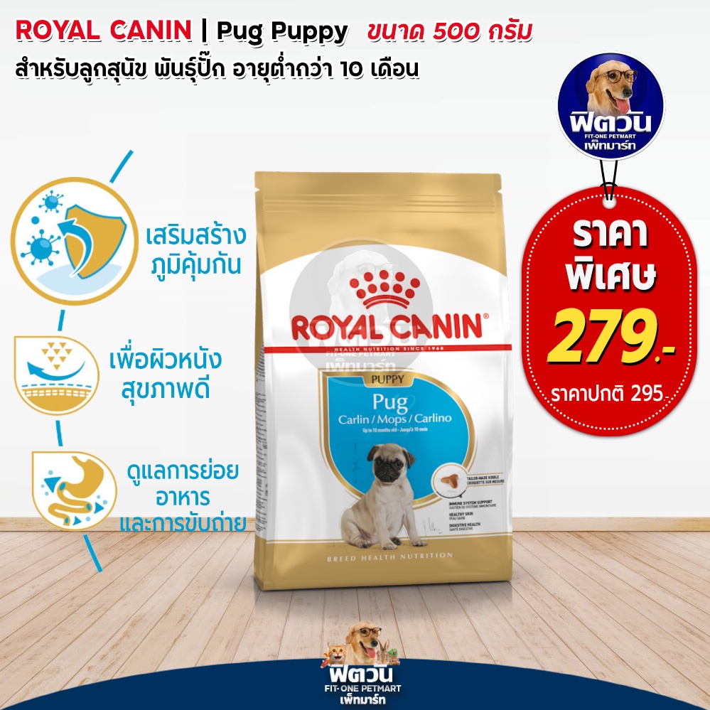 royal-canin-pug-puppy-ลูกสุนัข-2-10-เดือน-พันธุ์ปั๊ก-500กรัม