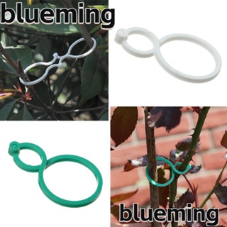 Blueming2 หัวเข็มขัดเถาวัลย์ สําหรับปลูกผัก 20 50 100 ชิ้น