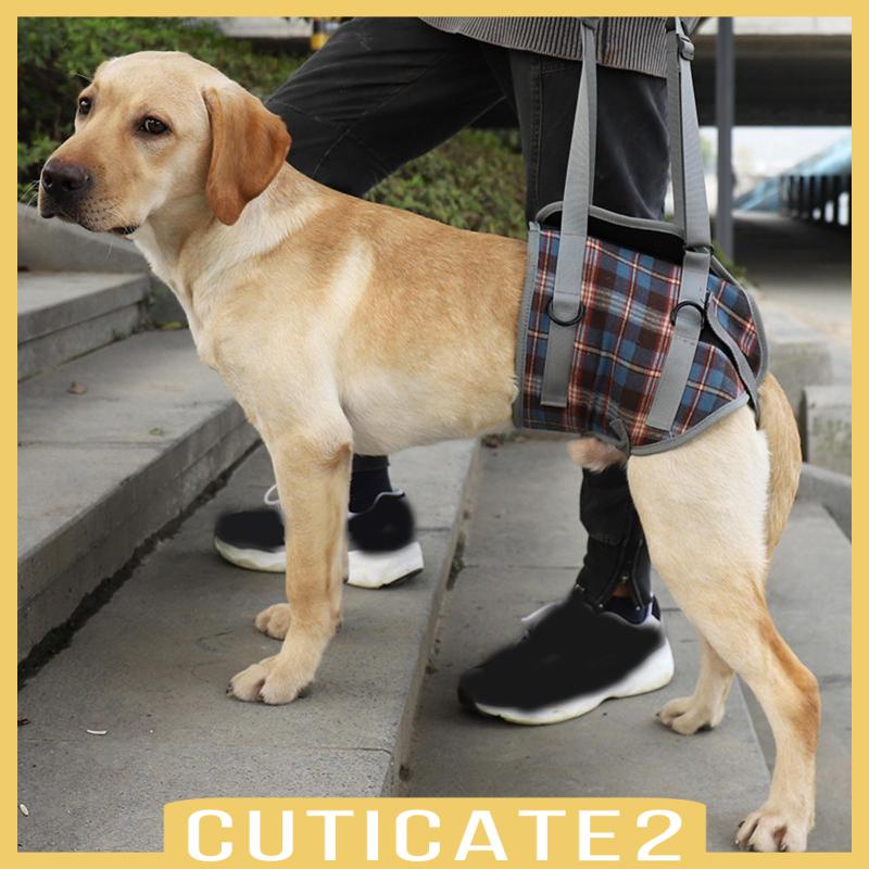 cuticate2-เข็มขัดพยุงขาหลัง-ระบายอากาศ-ขนาดใหญ่-สําหรับสุนัขสูงอายุ