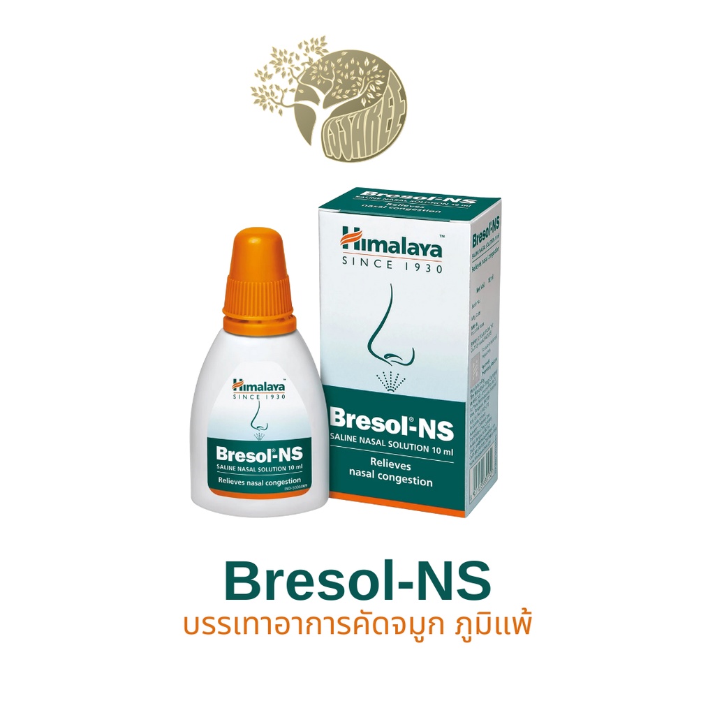 Bresol-NSขนาด 10ml แพ้อากาศ คัดจมูก ลดภูมิแพ้ | Shopee Thailand