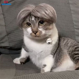 สัตว์เลี้ยงวิกผมจังหวะแมววิกผมคอสเพลย์ Props สุนัขแมว Cross-dressing ผมชุดการถ่ายภาพตลก Props อุปกรณ์เสริม Prank Dropshipping hairpiece Makeover เสื้อผ้าสัตว์เลี้ยงอุปกรณ์ Cynthia