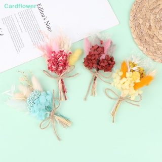 &lt;Cardflower&gt; กล่องดอกไม้แห้ง ขนาดเล็ก สําหรับตกแต่งบ้าน งานแต่งงาน วันเกิด 1 ชิ้น