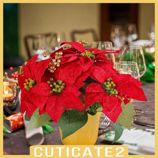 [Cuticate2] กระถางต้นไม้ประดิษฐ์ Poinsettia สีแดง สําหรับตั้งโต๊ะ