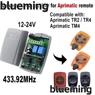 Blueming2 อุปกรณ์รับสัญญาณ 2 ช่อง แบบพกพา 12-24V DC/AC