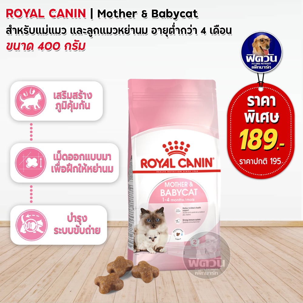 royal-canin-baby-cat-ลูกแมวอายุ-2-4เดือน-400-กิโลกรัม