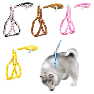 leashes ราคาพิเศษ  ซื้อออนไลน์ที่ Shopee ส่งฟรี*ทั่วไทย!