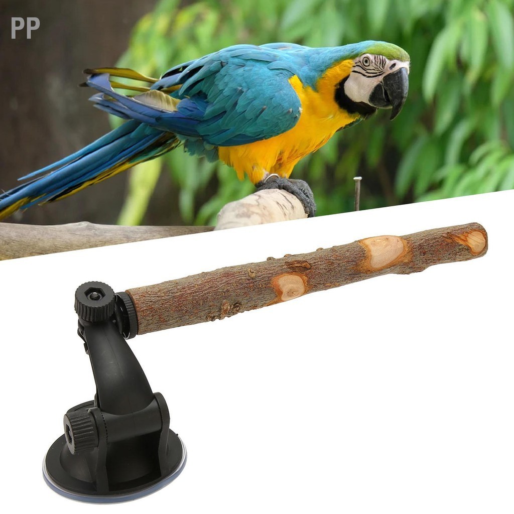 Curated visual reference: Parrot Virtual View Window Software Reference: Pp ไม Parrot Perch ป องก นการล น Interactive Bird