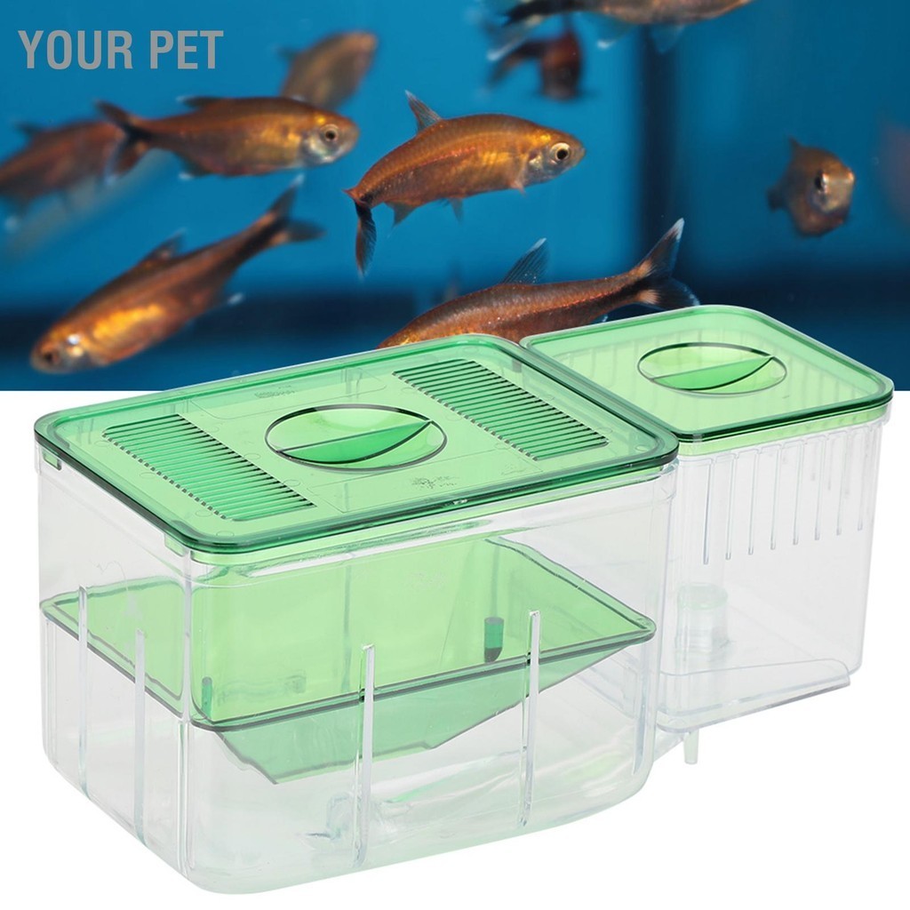 Your Pet Aquarium Fish Tanks Breeding Box ปลาน้อย Double‑Layer ...