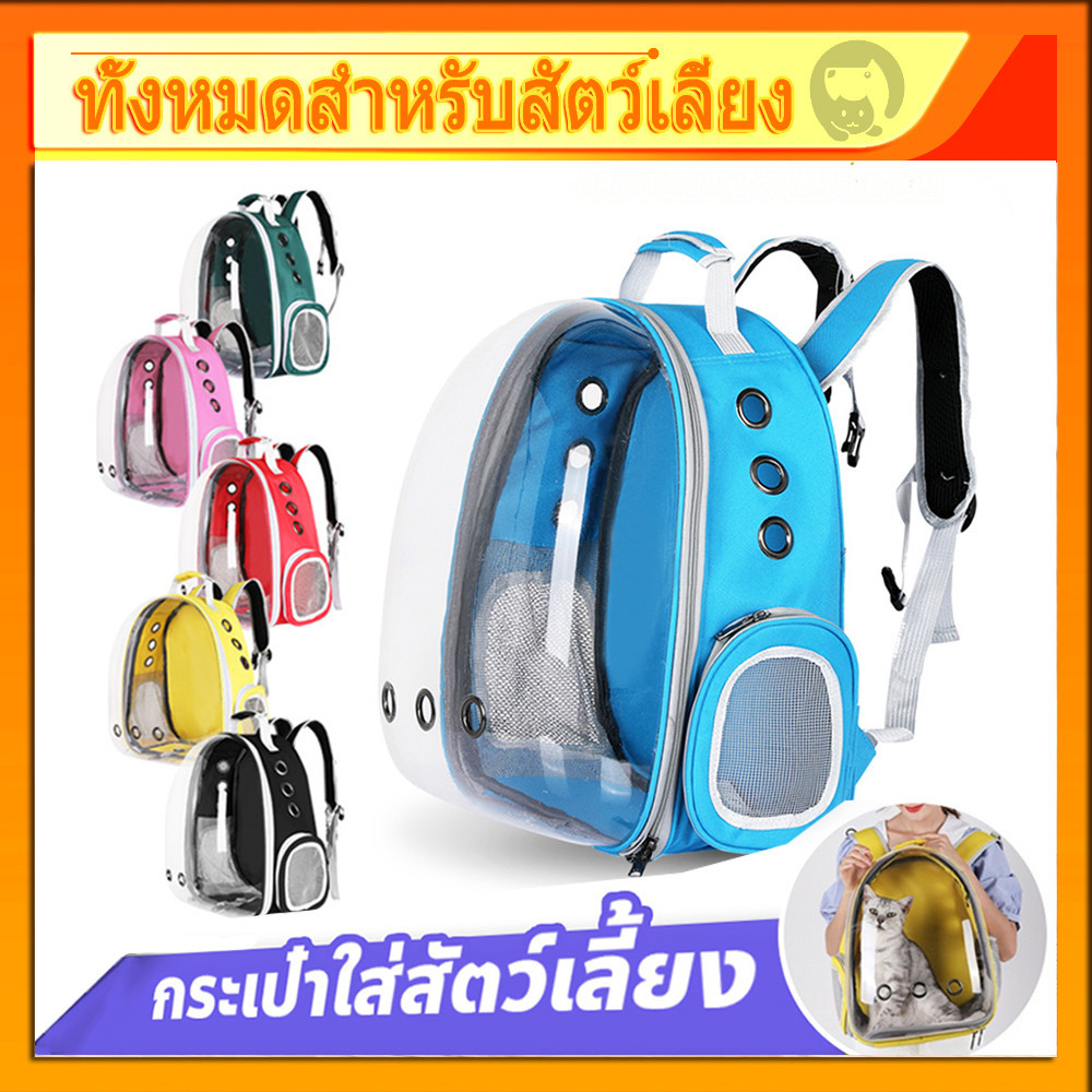 Large foldable pet carrier bag with ventilation