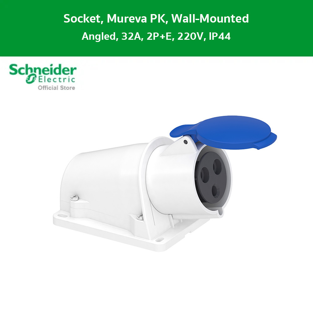 Schneider Socket, Mureva PK, wall-mounted, angled, 32A, 2P+E, 220V ...