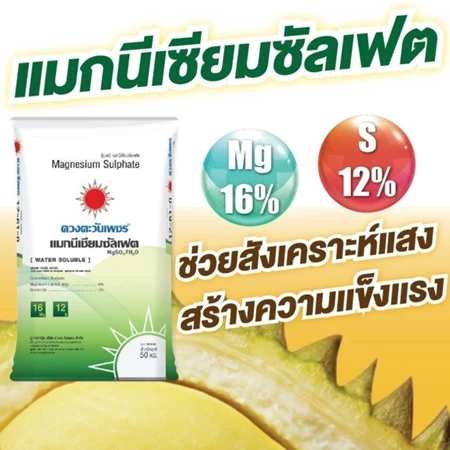 แมกนีเซียมซัลเฟต MgSO4