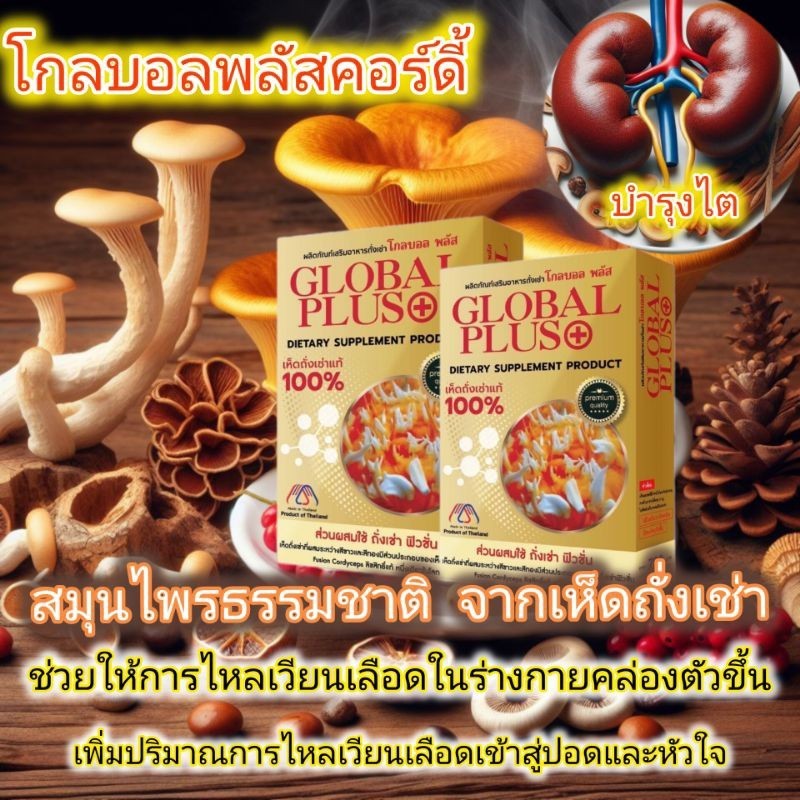 ถั่งเช่าโกลบอลพลัส คอร์ดี้ Global Plus Cordy ออร์แกนิคแท้ 100% บำรุง ...
