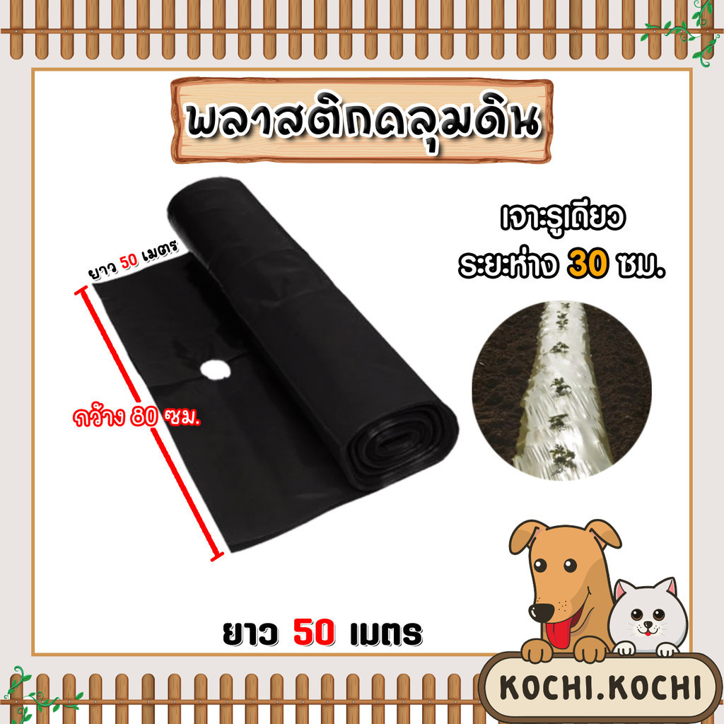 พลาสติกคลุมดิน เจาะรูห่าง 30 ซม. กว้าง 80 ซม. ยาว 50 เมตร พลาสติกคลุมดิน ผ้ายางคลุมดิน พลาสติกคลุมวัชพืช พลาสติกดำ