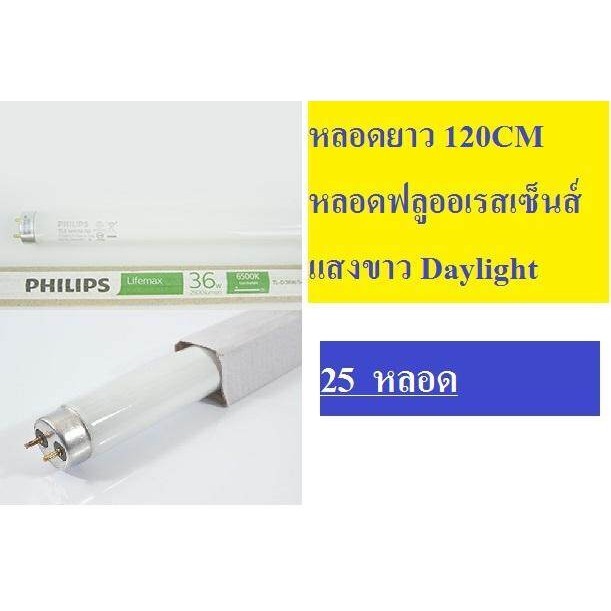 (แพ็คราคาส่ง) หลอดนีออน Philips หลอดฟลูออเรสเซนต์ T8 แสงขาว ยกลัง สั้น ...