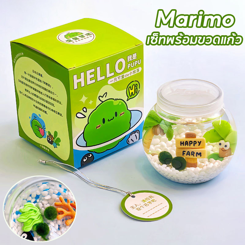 พร้อมส่ง Marimo มาริโมะ เซ็ทพร้อมขวดแก้ว เหมาะสำหรับให้เป็นของขวัญ ...