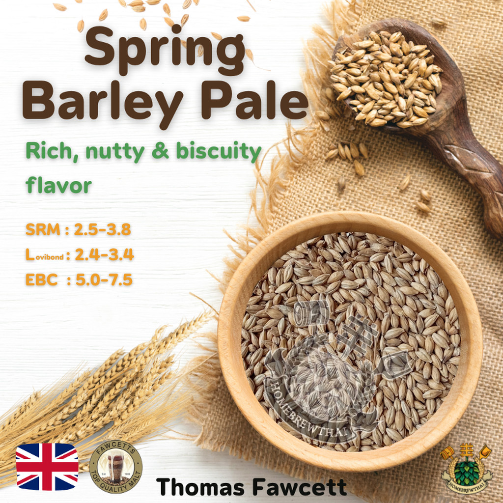 Spring Pale Ale Malt (Thomas Fawcett) Shopee Thailand