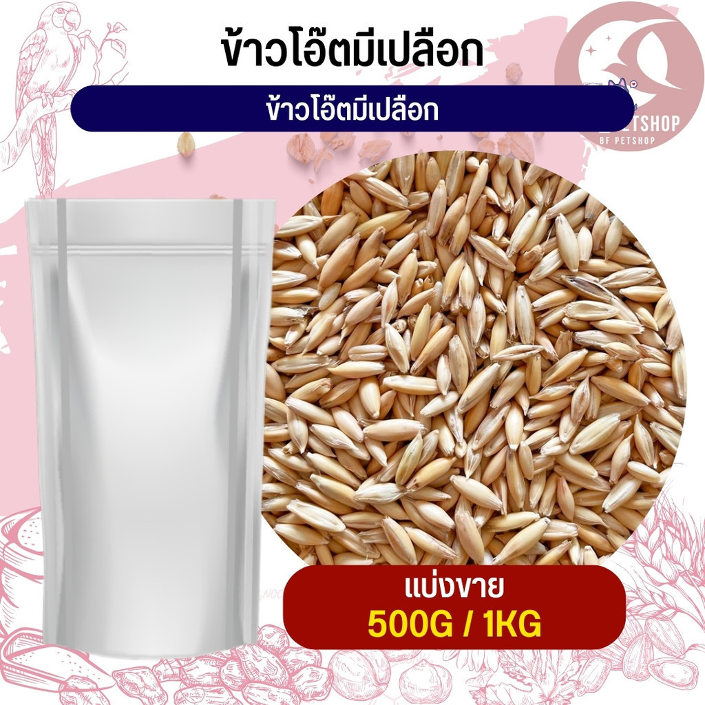 ข้าวโอ๊ตมีเปลือก Oat Rice อาหารเสริมนกทุกสายพันธุ์ (แบ่งขาย 500G / 1KG ...