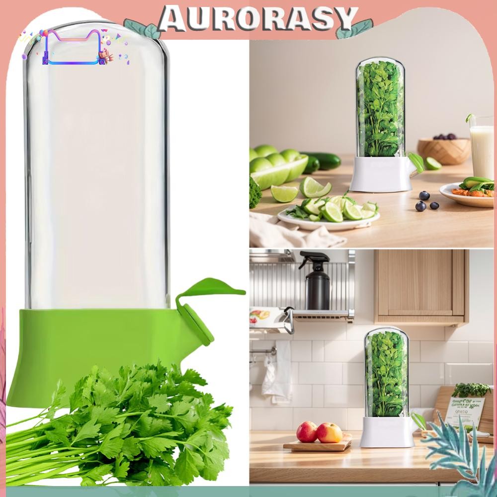 Cilantro Crisper Box ขวดถนอมผักสําหรับธัญพืชชา Cilantro Mint | Shopee ...