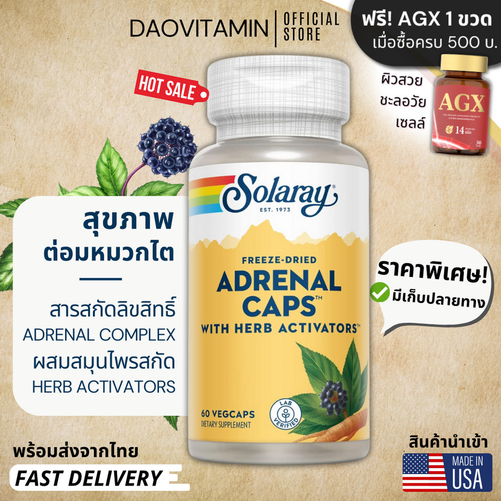 ลอตผลิตใหม่! Exp.04/2027, Solaray, FreezeDried Adrenal Caps with Herb Activators, 60 แคปซูลผัก