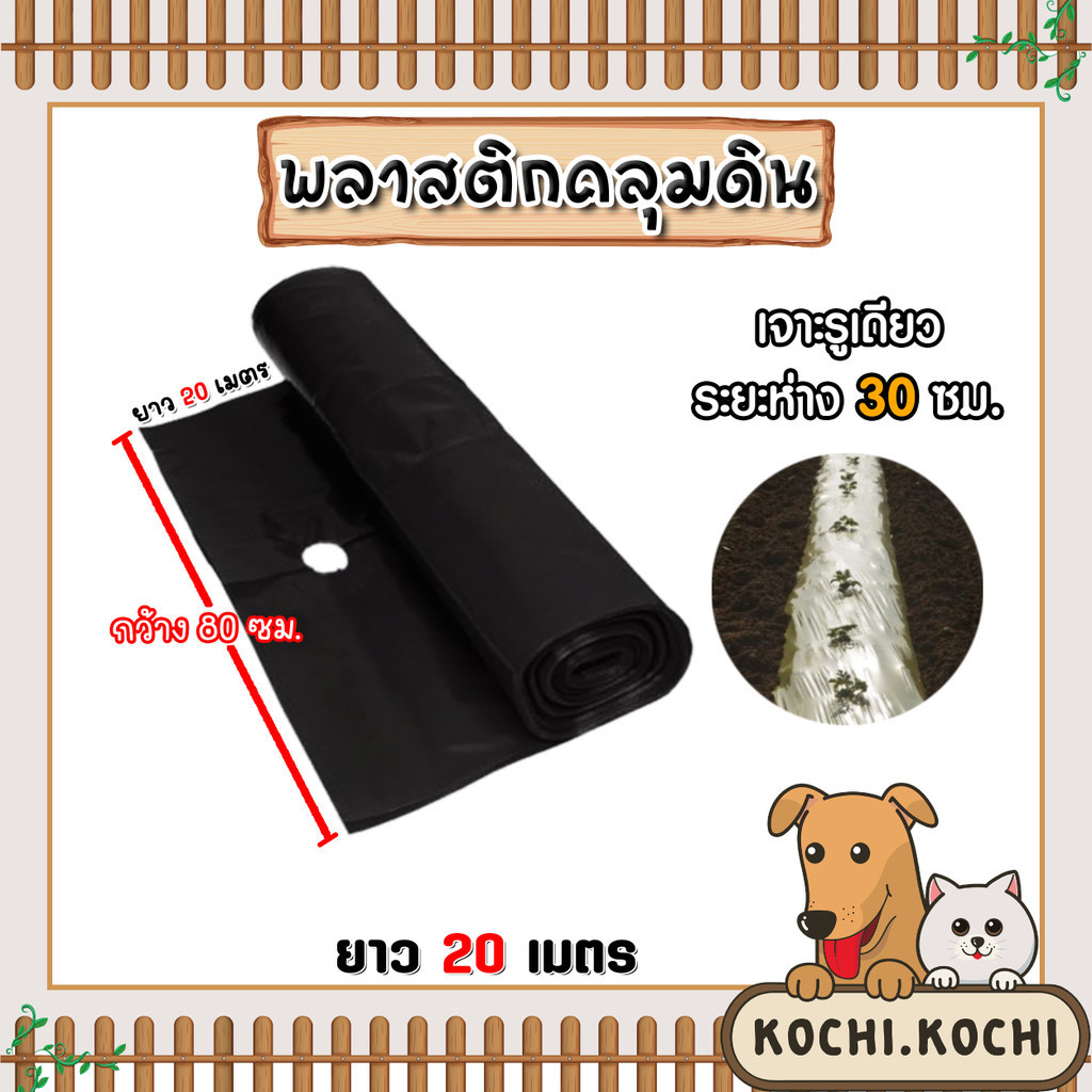 พลาสติกคลุมดิน เจาะรูห่าง 30 ซม. กว้าง 80 ซม. ยาว 20 เมตร พลาสติกคลุมดิน ผ้ายางคลุมดิน พลาสติกคลุมวัชพืช พลาสติกดำ