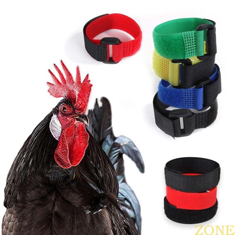 Zong 2 แพ็ค Anti Crow Rooster Collar อัพเกรด Crow Collars Noise Free ...