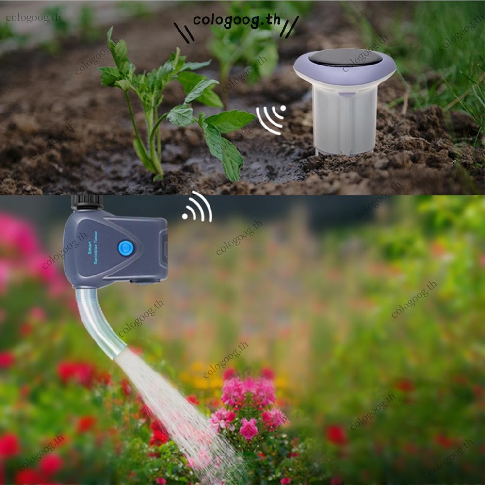 [colog.th] Smart Zigbee Solar Soil Sensor เครื่องทดสอบดินไร้สายเครื่อง ...