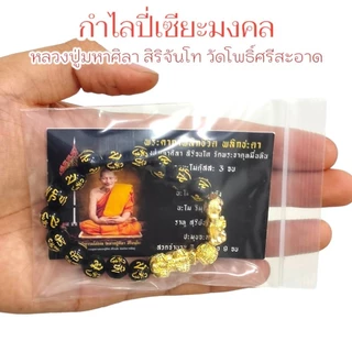 กำไรปี่เซียะมงคล หลวงปู่ศิลา สิริจันโท จ.กาฬสินธุ์ ใส่ได้ทั้งผู้หญิงและผู้ชาย แถมฟรีแผ่นคาถาพลิกชีวิตพลิกชะตา photo