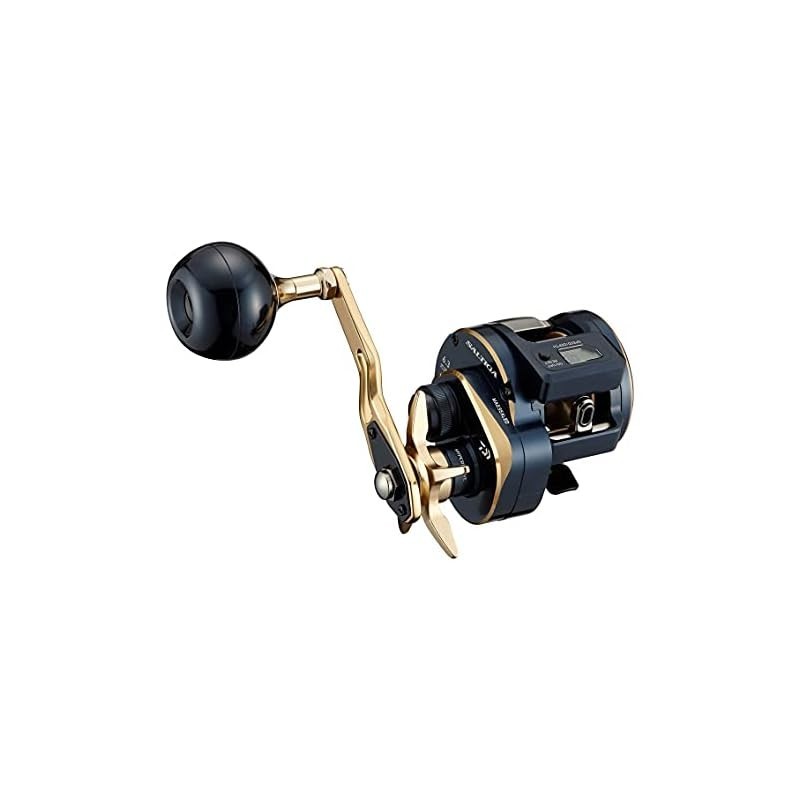 DAIWA 21 Saltiga IC 100 | Shopee Thailand