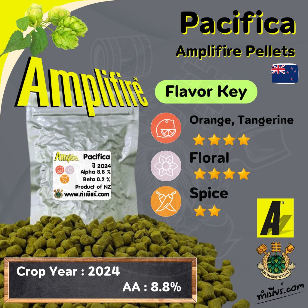 Amplifie Pellets Pacifica Hops (ฮอปส์) | Shopee Thailand