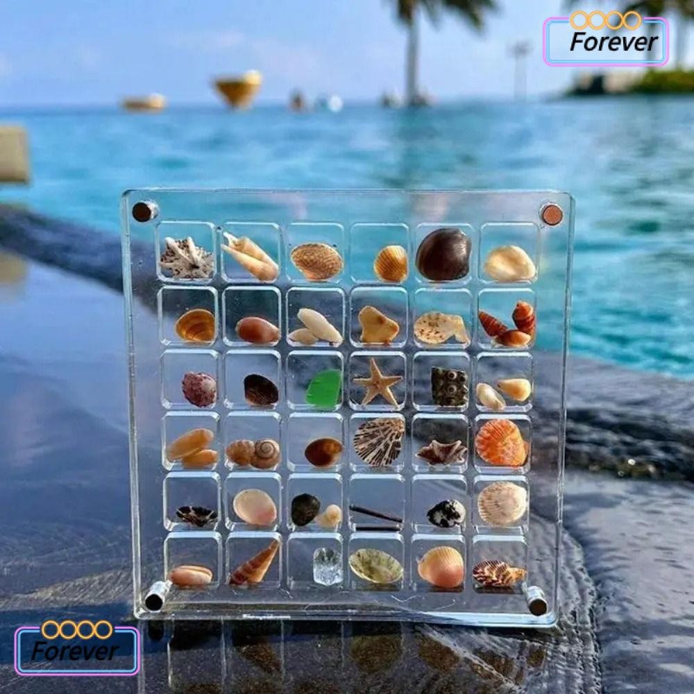 Forever Magnetic Seashell Display Box, 36/64/100 Grids Mini Seashell ...
