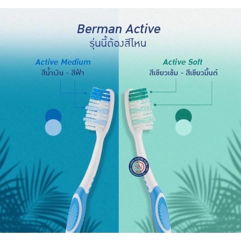 Berman Active แปรงสีฟันเบอร์แมน แอคทีฟ ขนแปรง 2 ระดับ (รุ่น2แถม1 ...