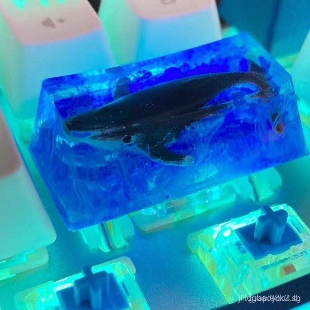2 umeMechanical Keyboard unique keycap WHALE Backspace Key transparent ...