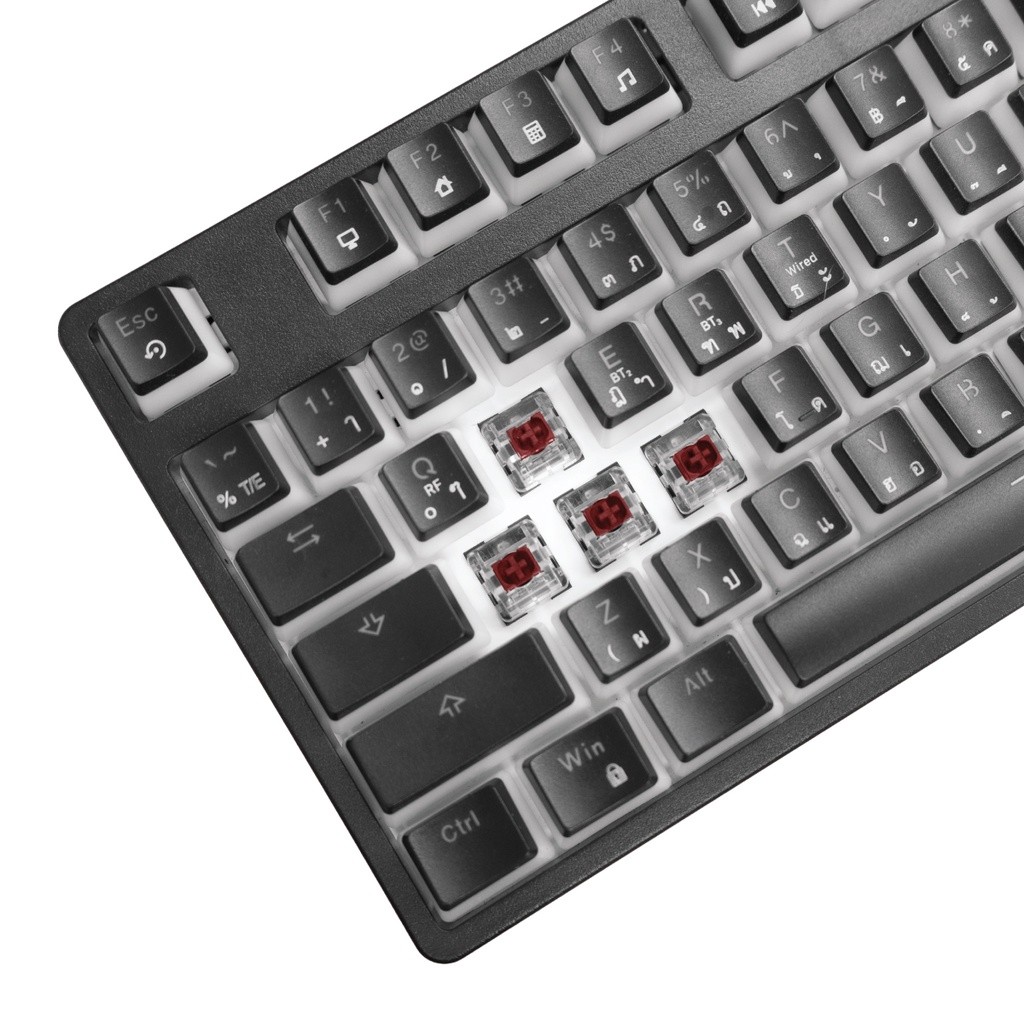 SIGNO KB-751 NUZZON WIRELESS MECHANICAL GAMING KEYBOARD TKL