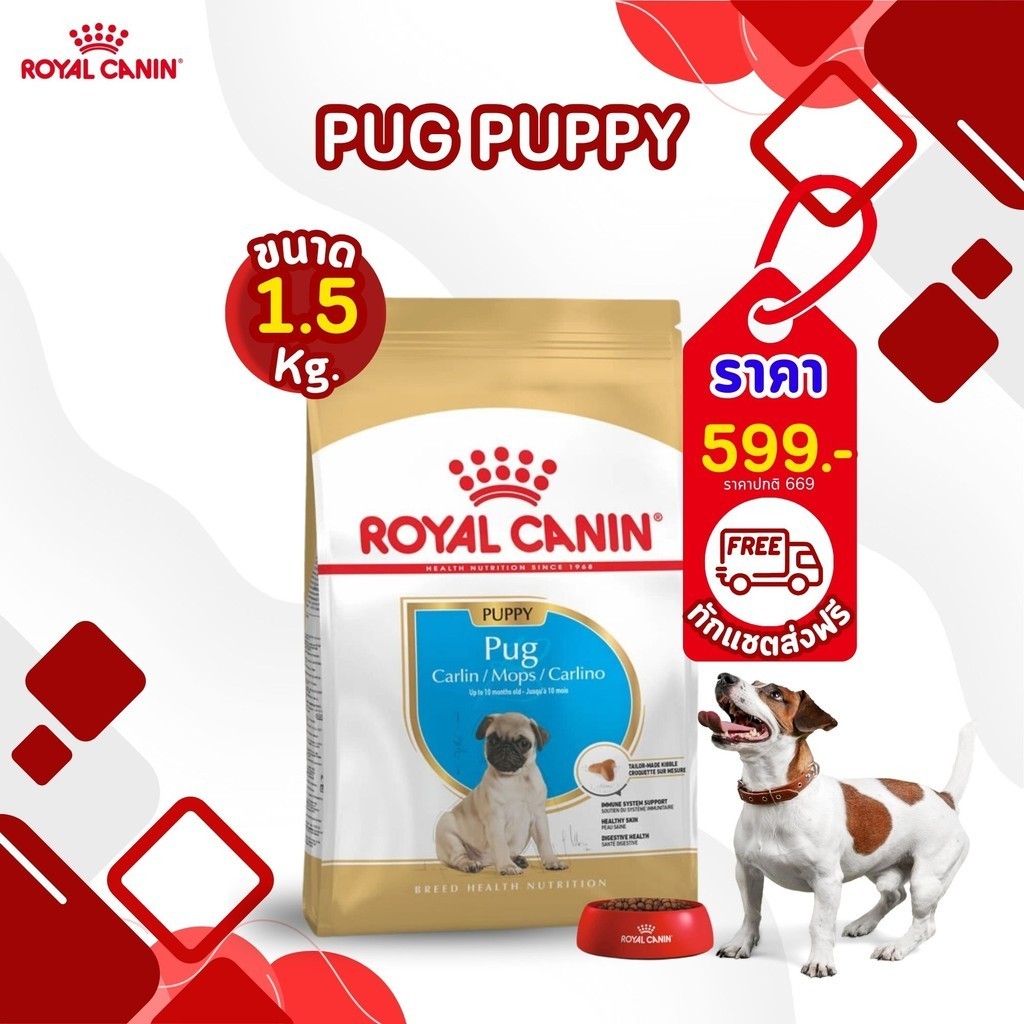 ROYAL CANIN Pug (PUPPY) ลูกสุนัข 2 - 10 เดือน พันธุ์ปั๊ก 1.5 กิโลกรัม ...