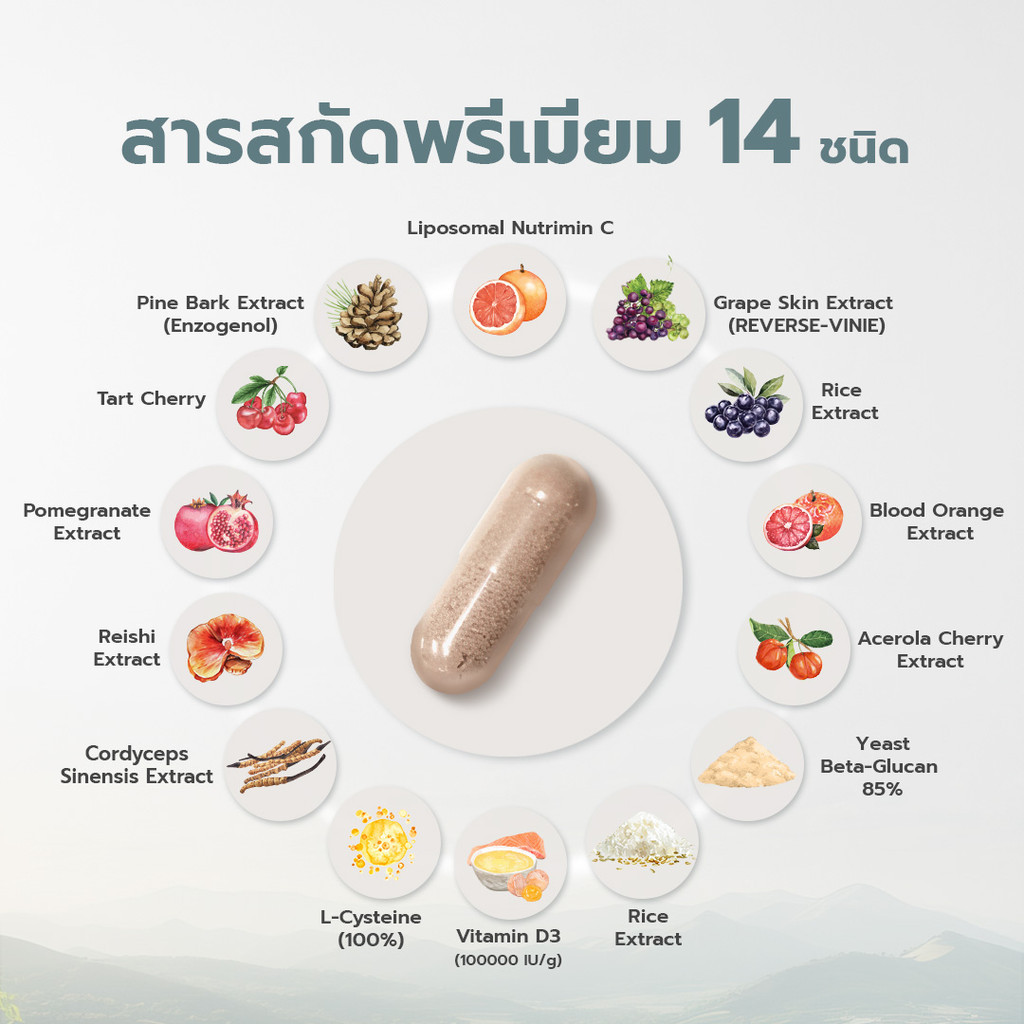 [SET 3 กล่อง x 30] EARTHEVER ENZO PLUS อาหารเสริมดูแลสุขภาพองค์รวมจาก ...