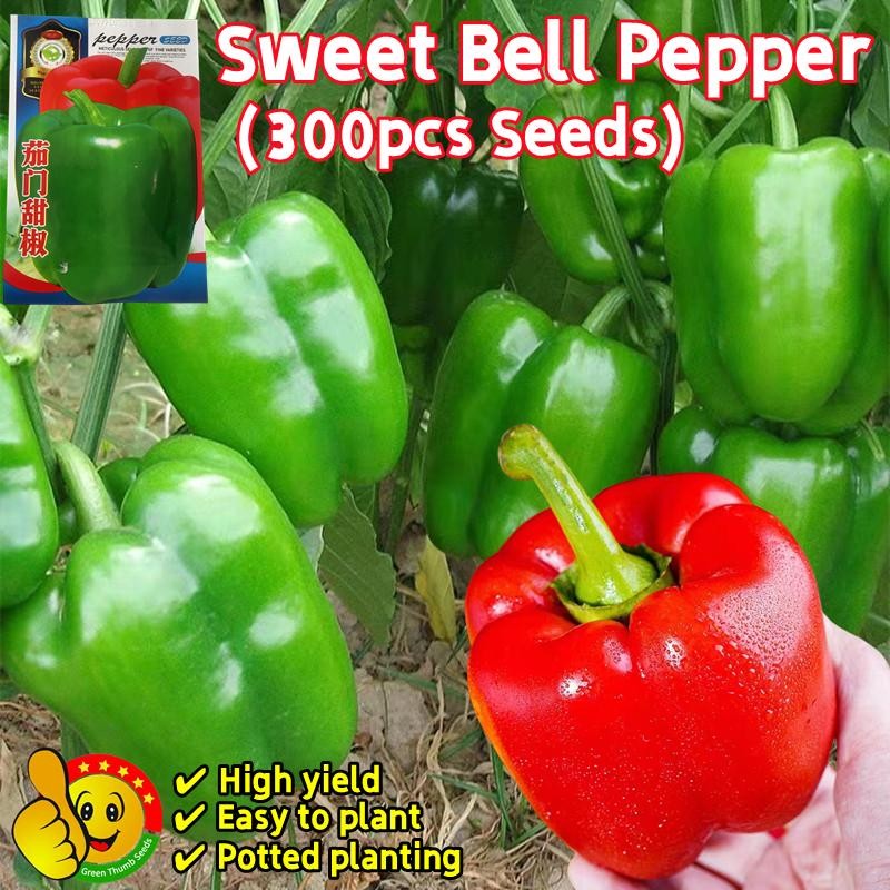 30+ Emerald Giant Bell Pepper Seeds - Sweet, Heirloom, Non-GMO, Organic (USA Made)