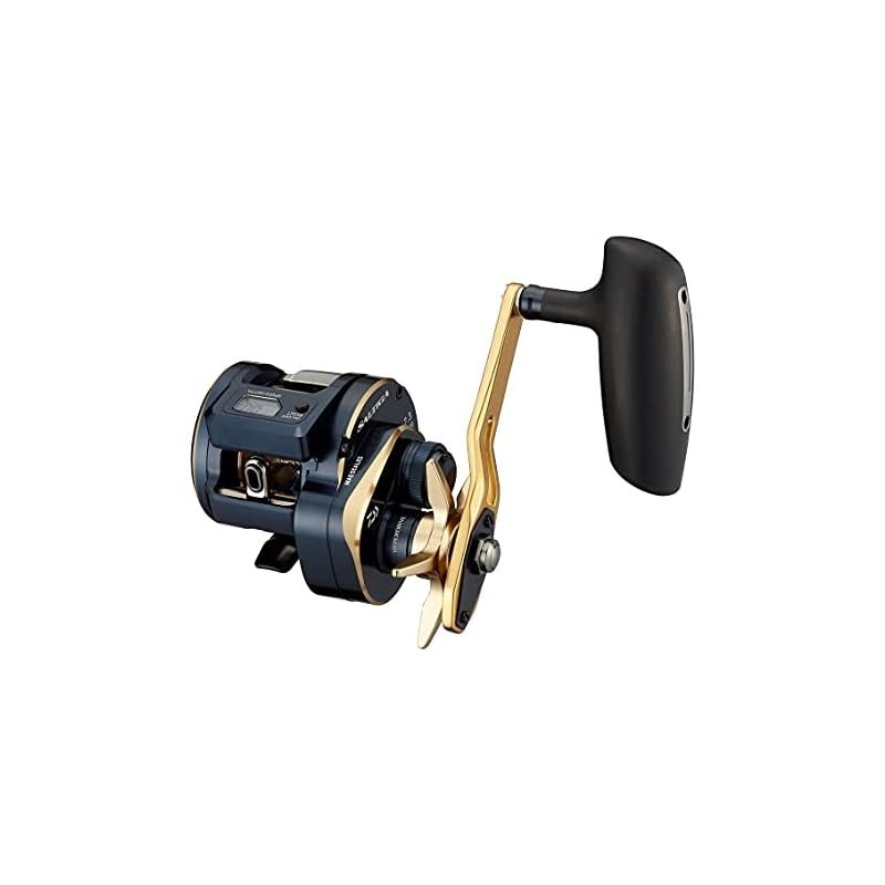DAIWA 21 Saltiga IC 100 | Shopee Thailand