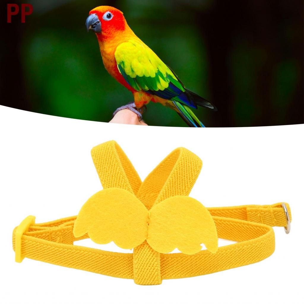 PP Bird Harness Present Privent Parrot Traction Rope สำหรับการเล่น (XS ...