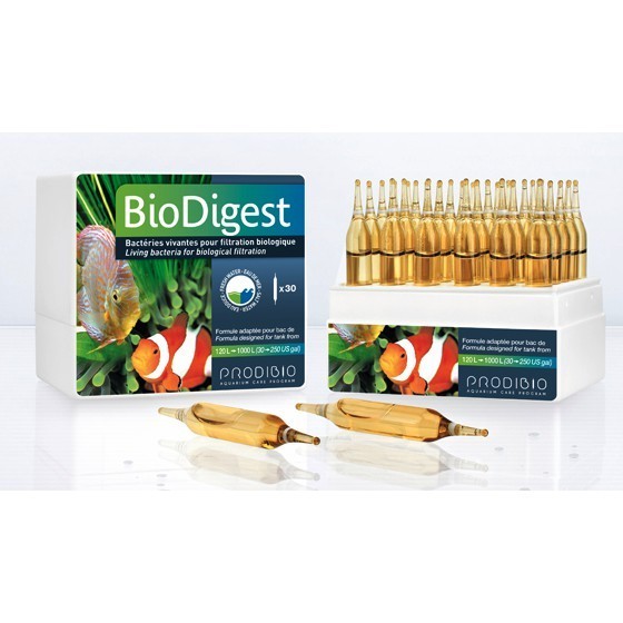 Prodibio - BioDigest ขนาดหลอด 1 ml. แบคทีเรีย Nitrosomonas Nitrobacter ...