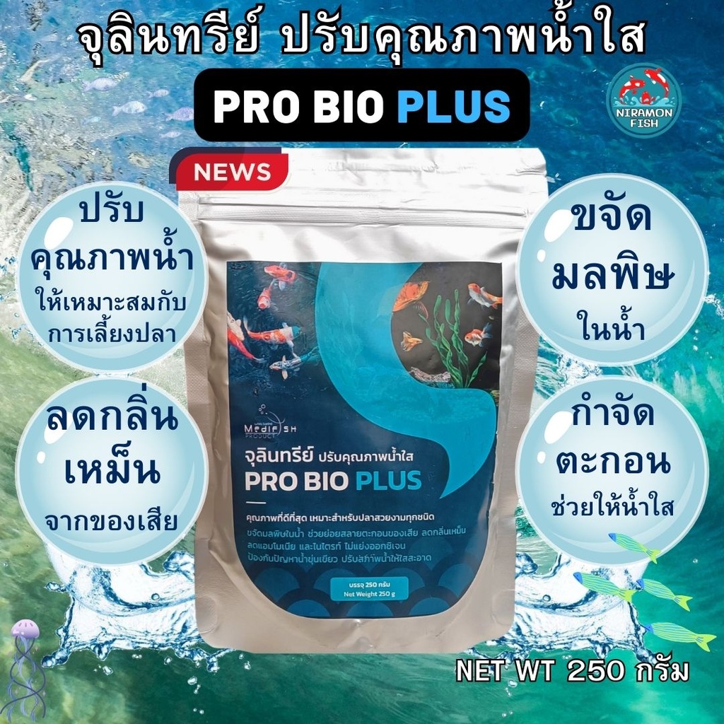 จุลินทรีย์ PRO BIO PLUS โปรไบโอพลัส 250 กรัมตัวช่วยน้ำใสสะอาดปลอดภัยต่อ ...