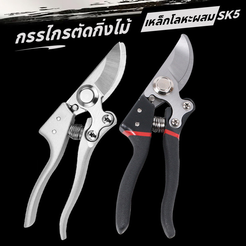 sg 11134201 7rdw7 mdptgdg5jdn8d8