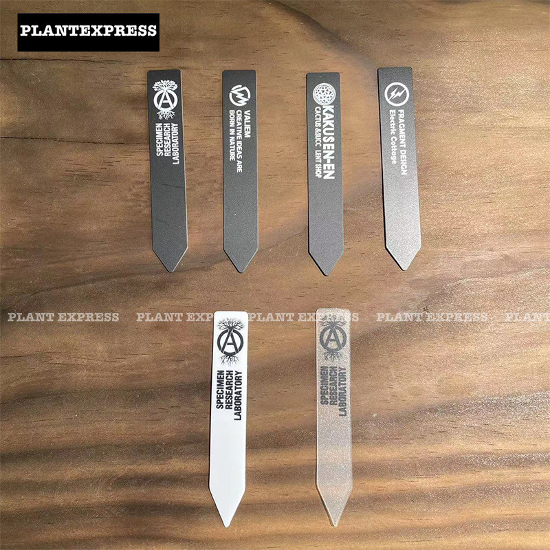 วันนี้ NEIGHBORHOOD SRL LABEL P-TAG NBHD Root Planting Green Plant Card ...