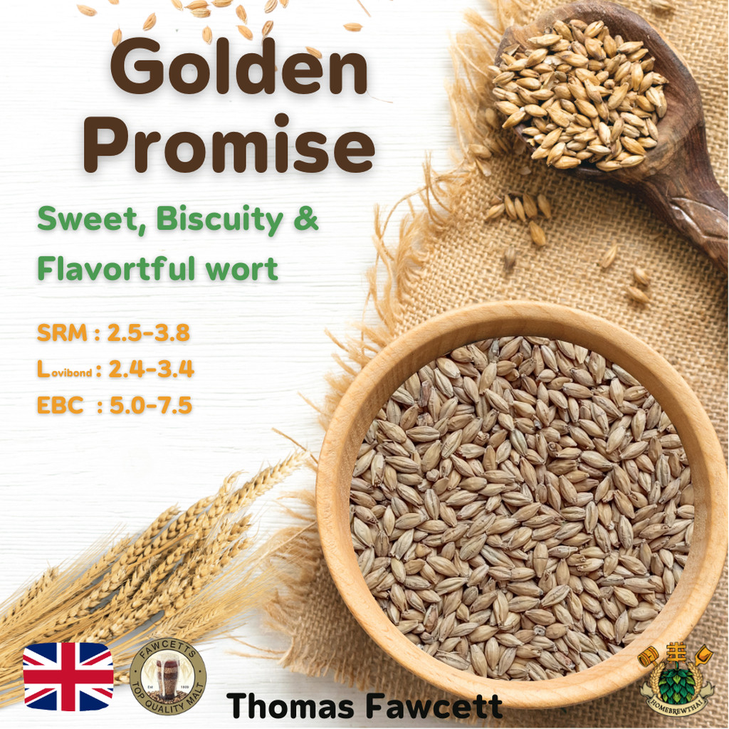Golden Promise Pale Ale Malt (Thomas Fawcett) | Shopee Thailand