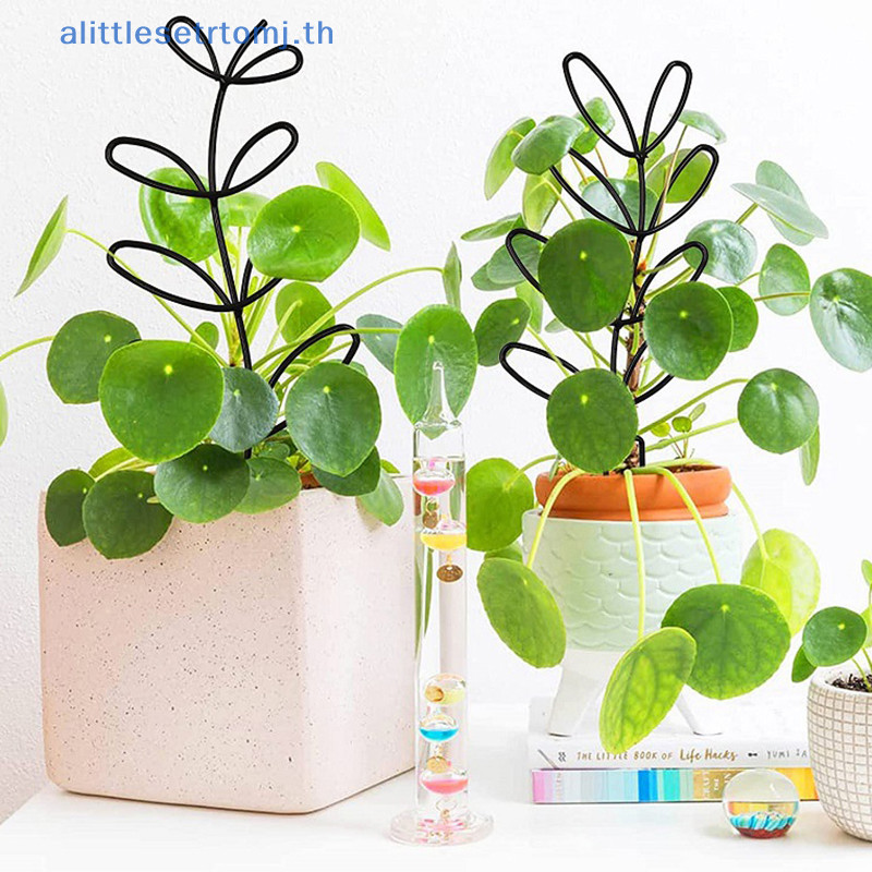 Alittlese Plant Stem Climbing Rack Plant Trellis Garden Support Stake ...