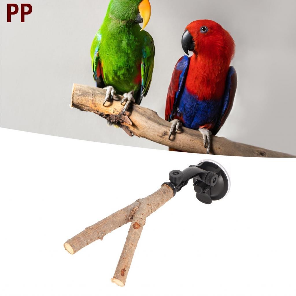 PP Bird Branch Perch จะงอยปากบดไม้แบบโต้ตอบสำหรับ Cockatoos ขนาดเล็ก ...