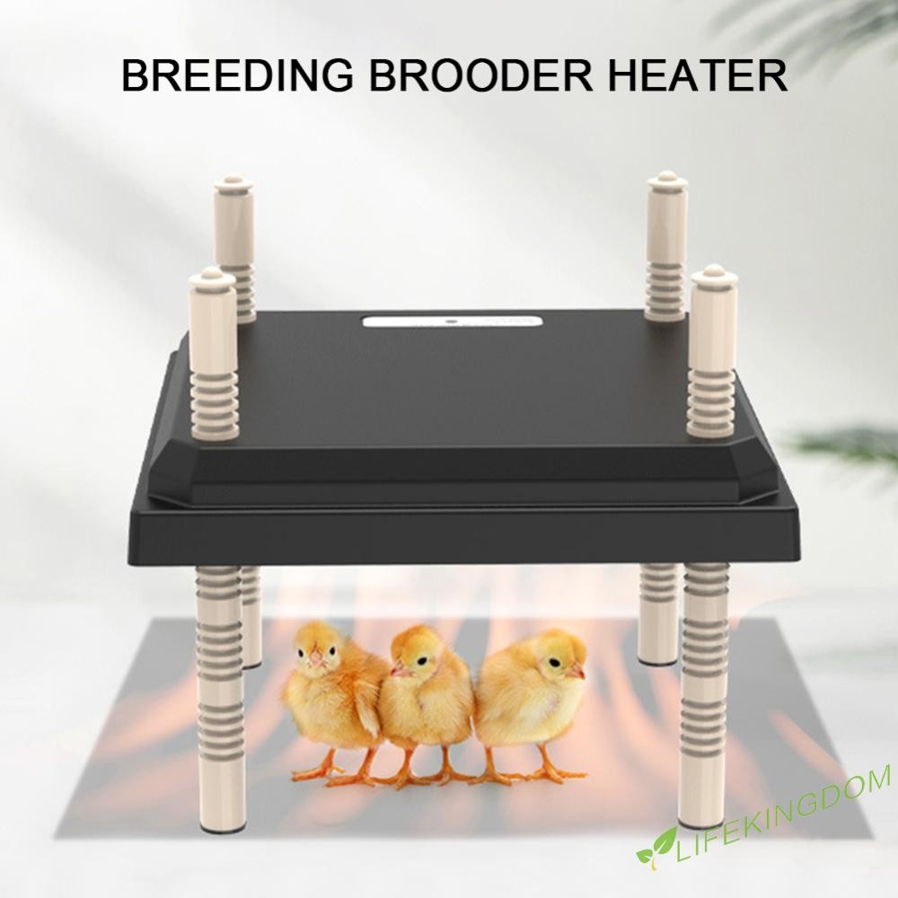 Hot แผ่นทําความร้อน Chick Brooder ไฟฟ้า 15W Energy-Efficient สําหรับ ...
