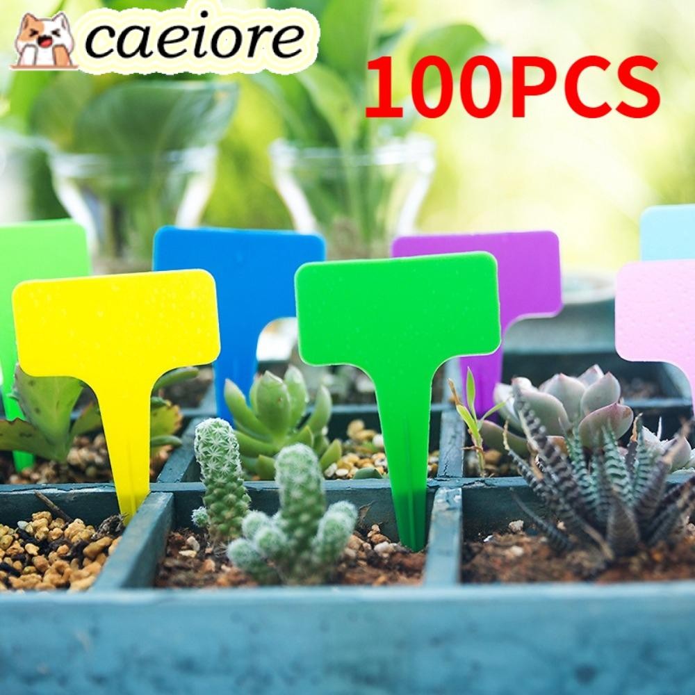 CAEIORE 100PCS ป้ายพืชสวน, PVC Markers Nursery Plant Markers แท็ก ...