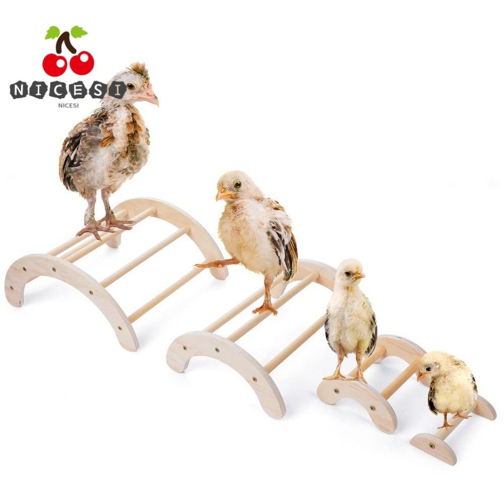 Nicesi 4 ชิ้น Perch Ladder, Safe Natural Chicken Perch Stand, Easy to ...