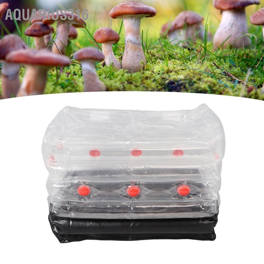 Aquarius316 เห็ด Monotub ชุดบ้าน Inflatable Mushroom Grow Kit แบบพกพา ...
